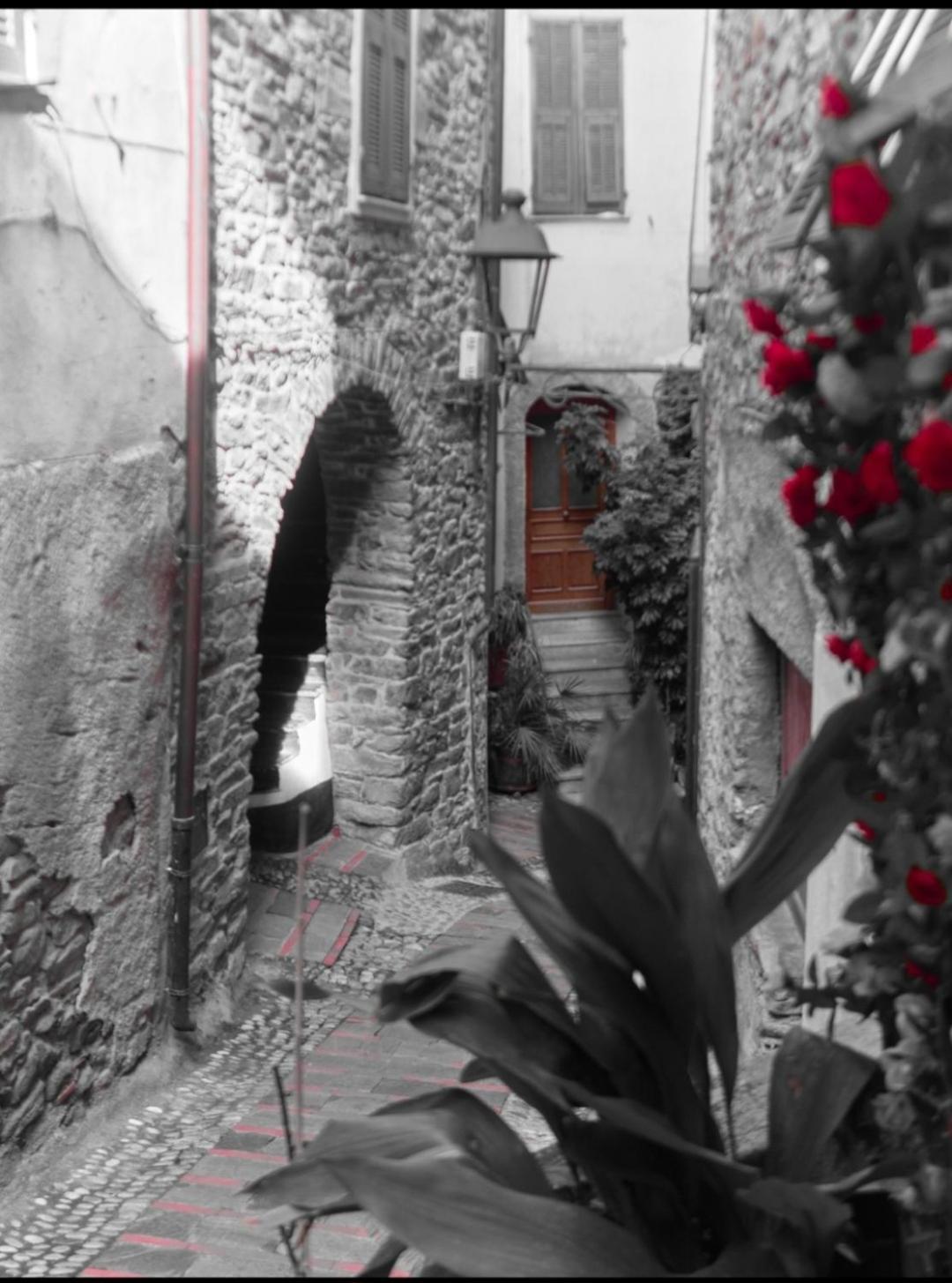 Sweet Home Badalucco 4 Persone 10 Min Dal Mare Exterior foto